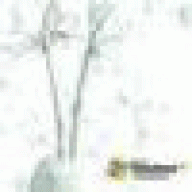 enrorpoxisp