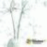 enrorpoxisp